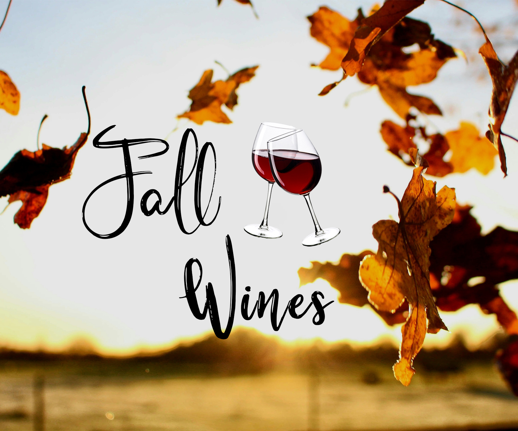 Fall Wine Releases MO Wine